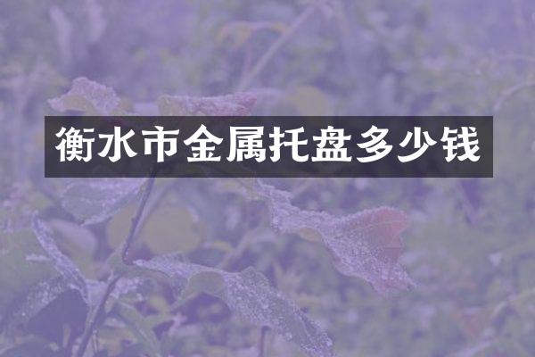 衡水市金属托盘多少钱
