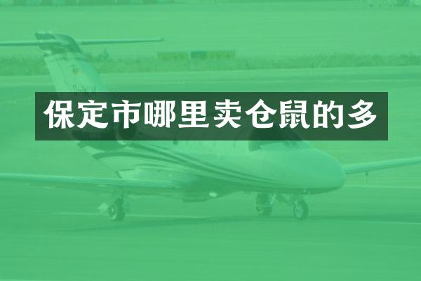 保定市哪里卖仓鼠的多
