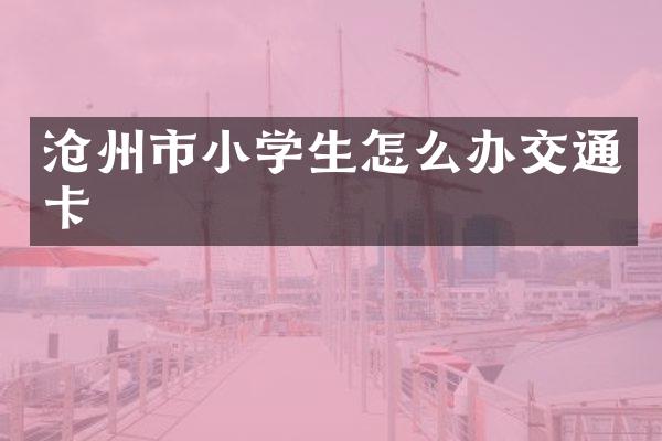 沧州市小学生怎么办交通卡
