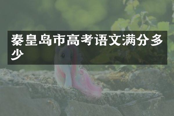 秦皇岛市高考语文满分多少
