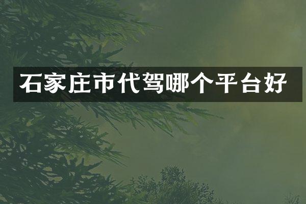 石家庄市代驾哪个平台好