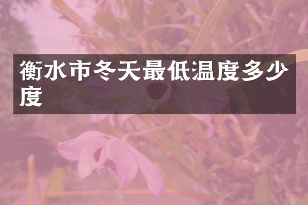 衡水市冬天最低温度多少度