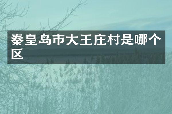 秦皇岛市大王庄村是哪个区