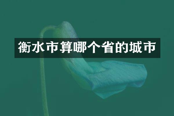衡水市算哪个省的城市