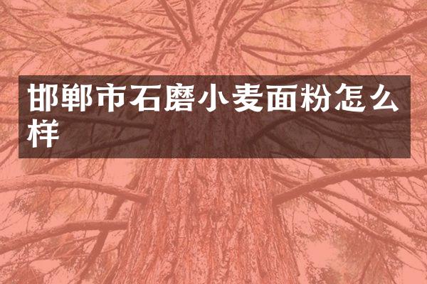 邯郸市石磨小麦面粉怎么样