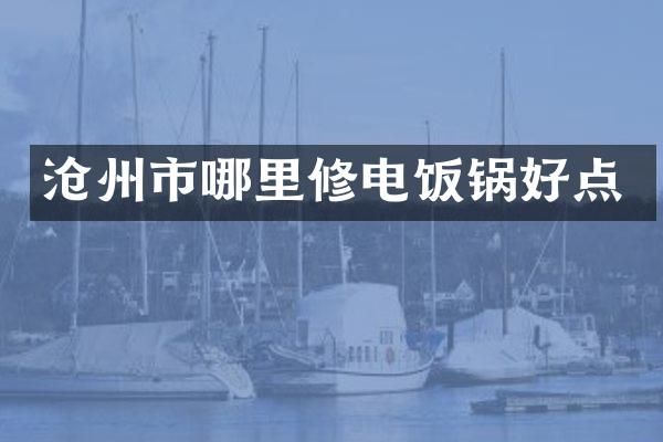 沧州市哪里修电饭锅好点