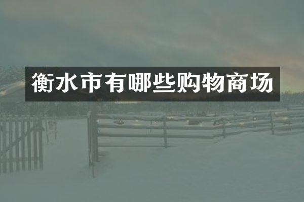 衡水市有哪些购物商场