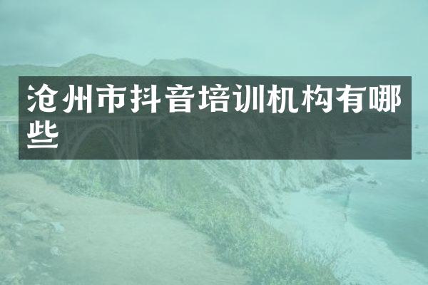 沧州市抖音培训机构有哪些