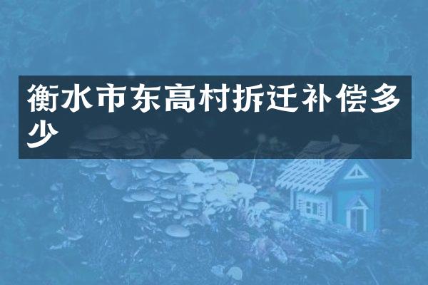 衡水市东高村拆迁补偿多少