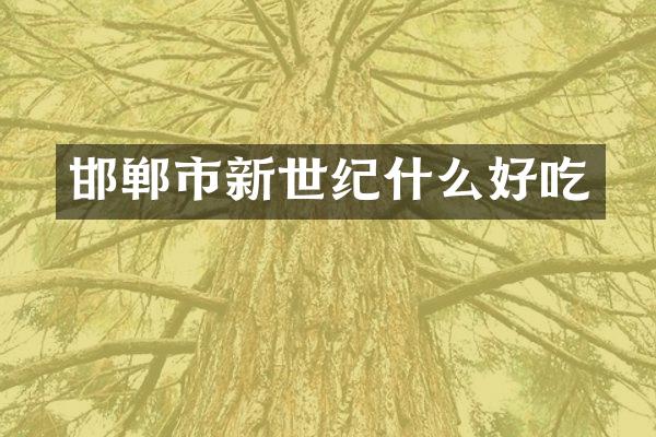 邯郸市新世纪什么好吃