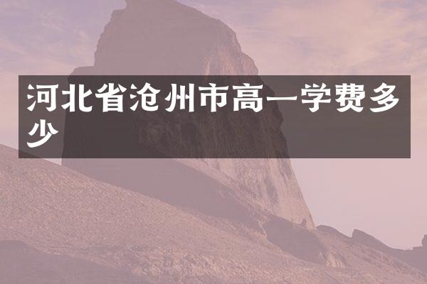 河北省沧州市高一学费多少