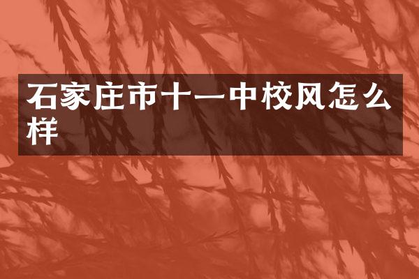 石家庄市十一中校风怎么样