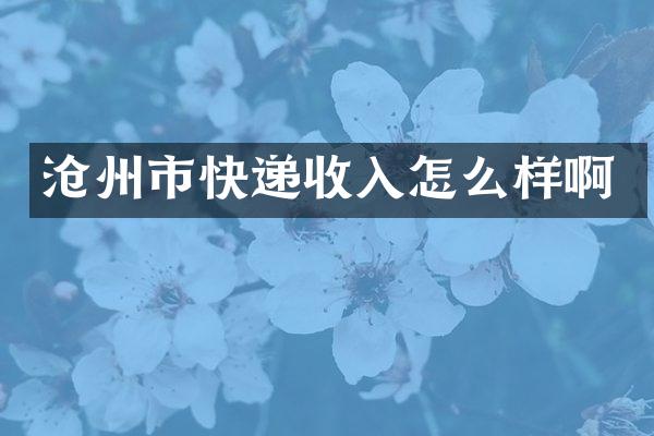沧州市快递收入怎么样啊