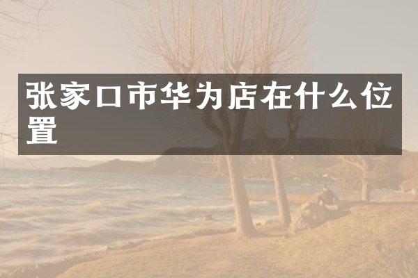 张家口市华为店在什么位置