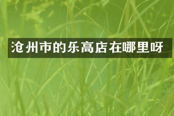 沧州市的乐高店在哪里呀