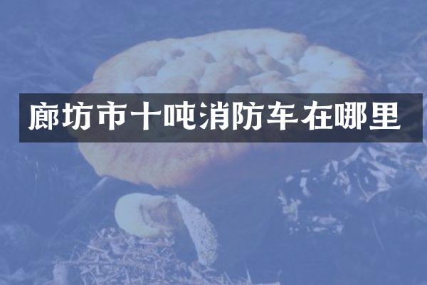 廊坊市十吨消防车在哪里