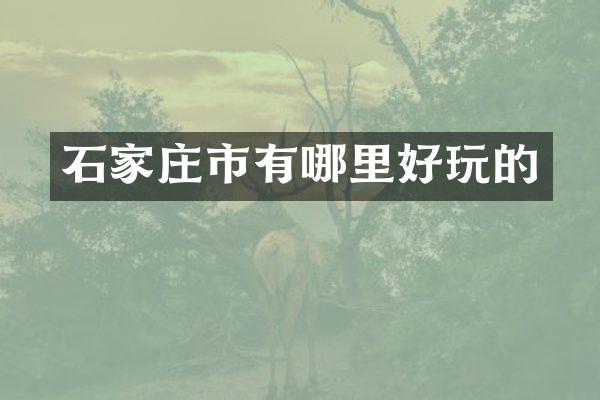石家庄市有哪里好玩的