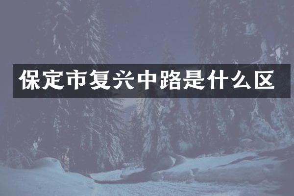 保定市复兴中路是什么区