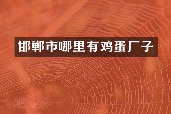 邯郸市哪里有鸡蛋厂子