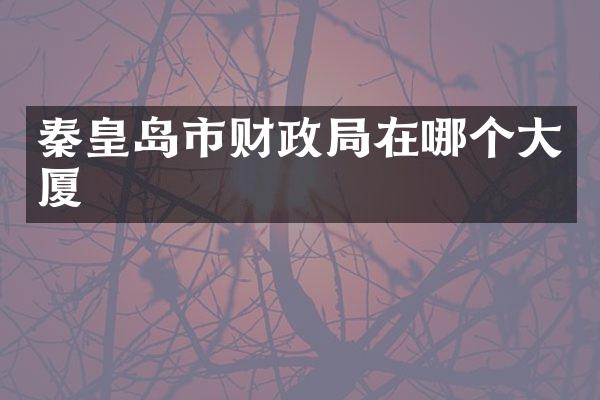 秦皇岛市财政局在哪个大厦