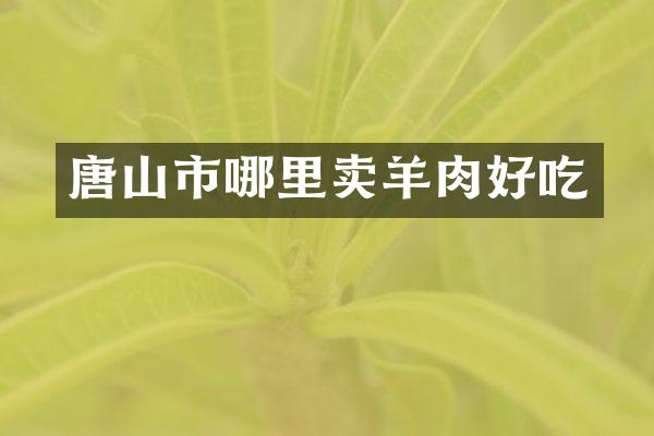 唐山市哪里卖羊肉好吃