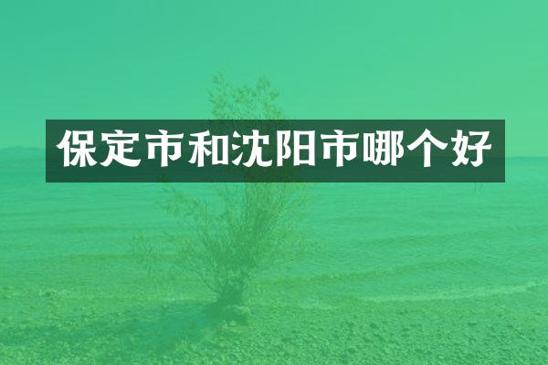 保定市和沈阳市哪个好