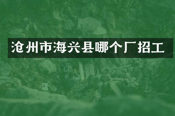 沧州市海兴县哪个厂招工