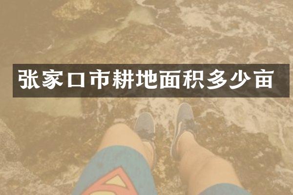 张家口市耕地面积多少亩