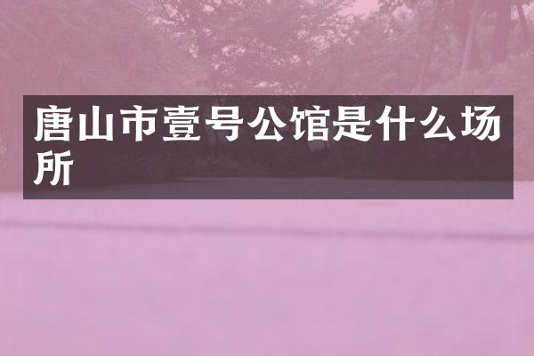 唐山市壹号公馆是什么场所
