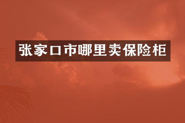 张家口市哪里卖保险柜