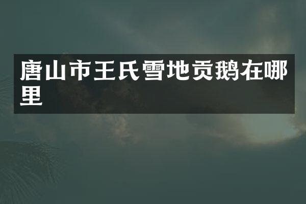唐山市王氏雪地贡鹅在哪里