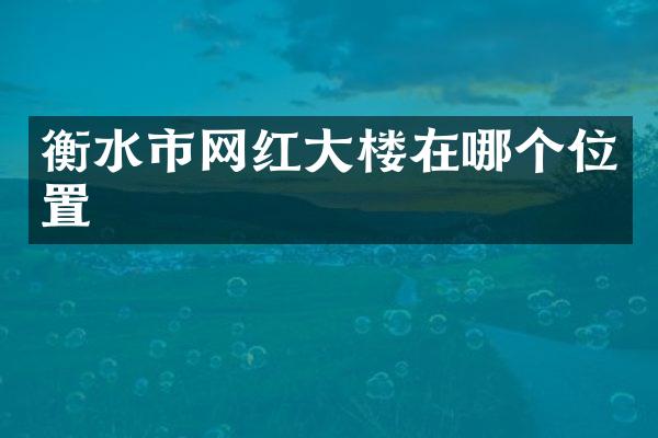 衡水市网红大楼在哪个位置