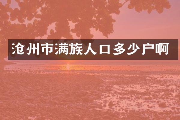 沧州市满族人口多少户啊