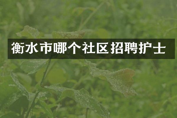 衡水市哪个社区招聘护士