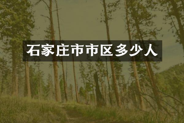 石家庄市市区多少人