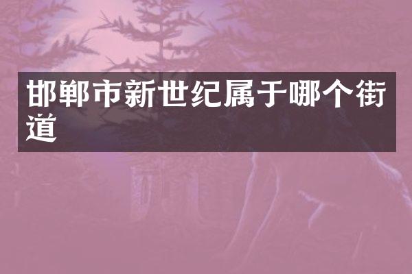 邯郸市新世纪属于哪个街道