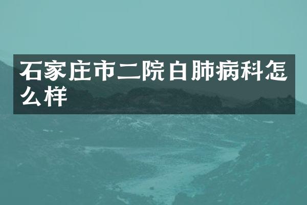 石家庄市二院白肺病科怎么样