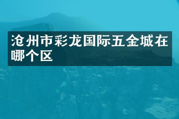 沧州市彩龙国际五金城在哪个区
