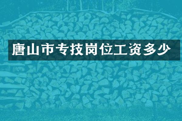 唐山市专技岗位工资多少