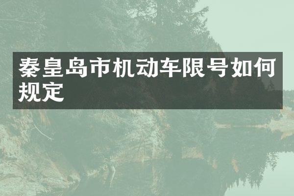 秦皇岛市机动车限号如何规定