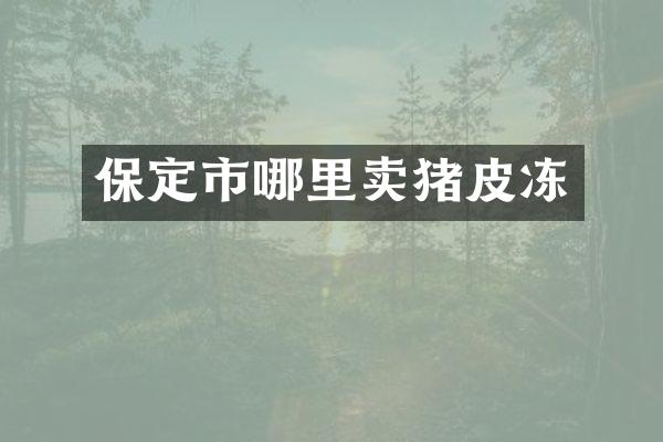 保定市哪里卖猪皮冻