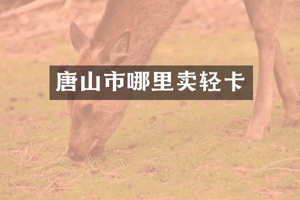 唐山市哪里卖轻卡