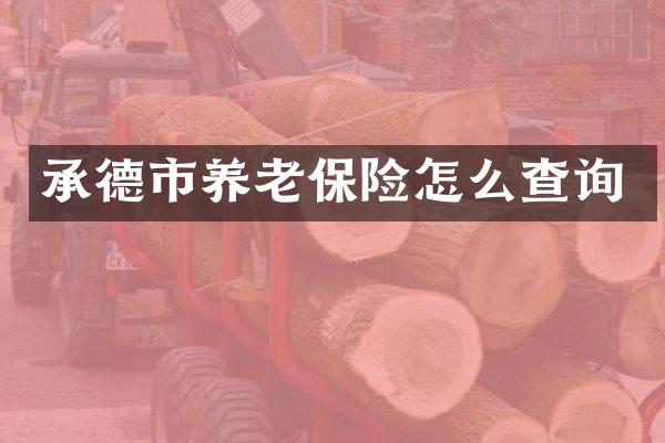 承德市养老保险怎么查询