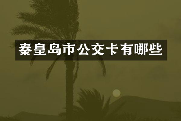 秦皇岛市公交卡有哪些