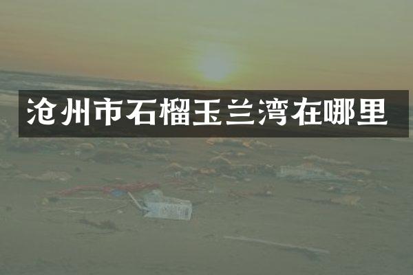 沧州市石榴玉兰湾在哪里