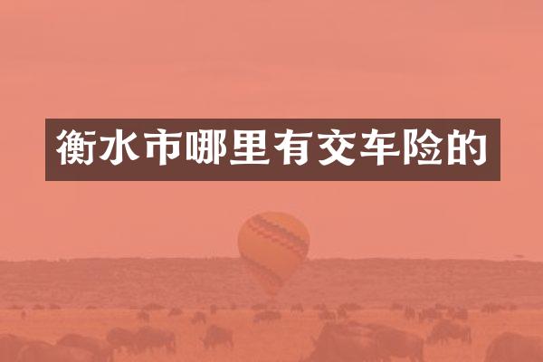 衡水市哪里有交车险的