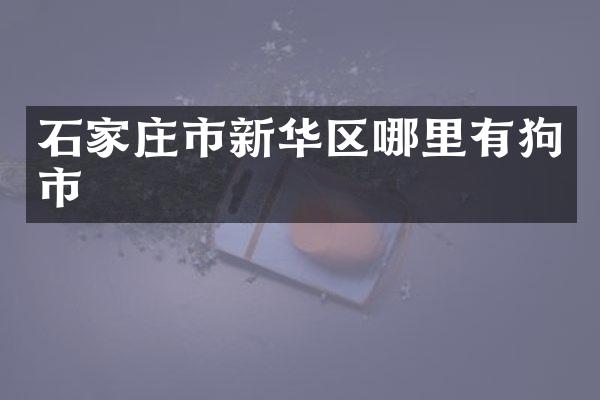 石家庄市新华区哪里有狗市