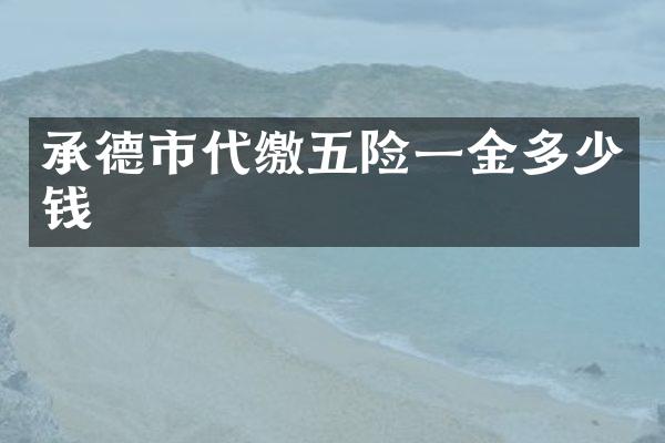承德市代缴五险一金多少钱