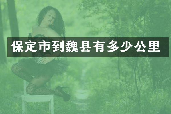 保定市到魏县有多少公里