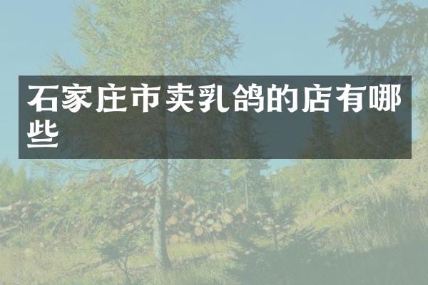 石家庄市卖乳鸽的店有哪些